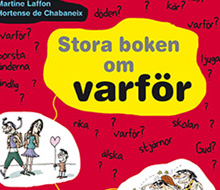 Stora boken om varför