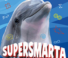 Delfiner är supersmarta